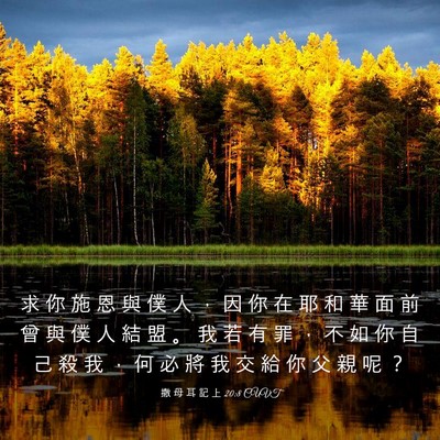 Picture 03 - 撒 母 耳 記 上 20:8 CUVT - 求 你 施 恩 與 僕 人 ， 因 你 在 耶 - Bible Verse Picture