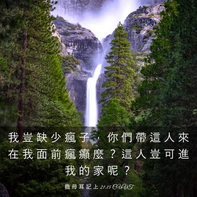 Picture 03 - 撒 母 耳 記 上 21:15 CUVT - 我 豈 缺 少 瘋 子 ， 你 們 帶 這 人 - Bible Verse Picture