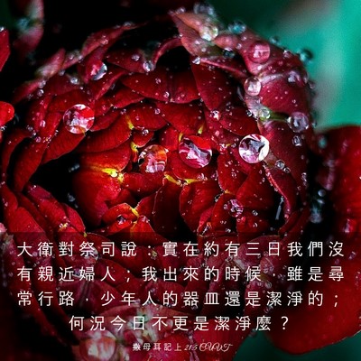Picture 03 - 撒 母 耳 記 上 21:5 CUVT - 大 衛 對 祭 司 說 ： 實 在 約 有 三 - Bible Verse Picture