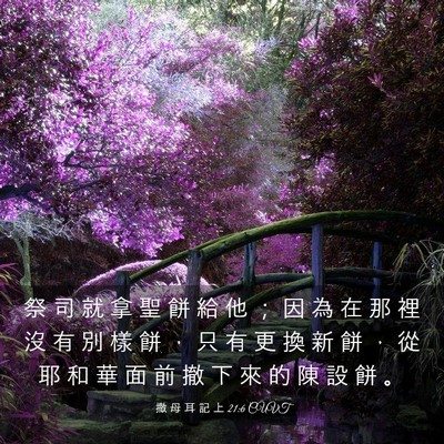 Picture 03 - 撒 母 耳 記 上 21:6 CUVT - 祭 司 就 拿 聖 餅 給 他 ； 因 為 在 - Bible Verse Picture