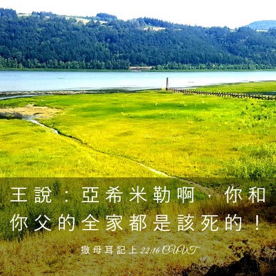 Picture 03 - 撒 母 耳 記 上 22:16 CUVT - 王 說 ： 亞 希 米 勒 啊 ， 你 和 你 - Bible Verse Picture