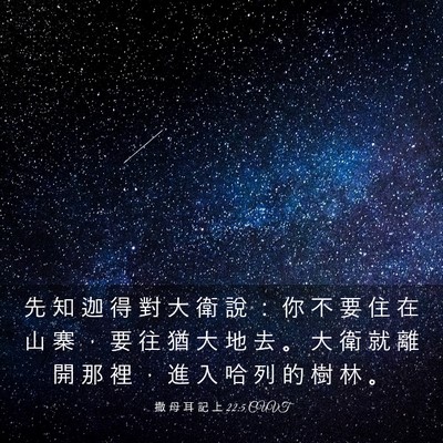 Picture 03 - 撒 母 耳 記 上 22:5 CUVT - 先 知 迦 得 對 大 衛 說 ： 你 不 要 - Bible Verse Picture