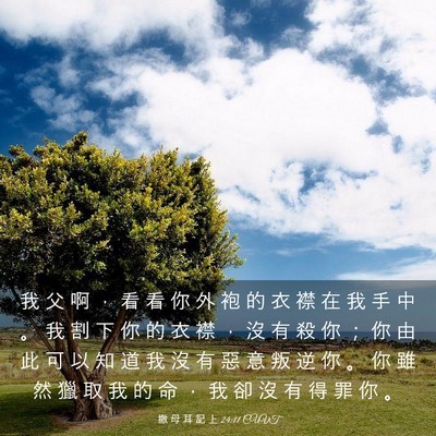Picture 03 - 撒 母 耳 記 上 24:11 CUVT - 我 父 啊 ， 看 看 你 外 袍 的 衣 襟 - Bible Verse Picture