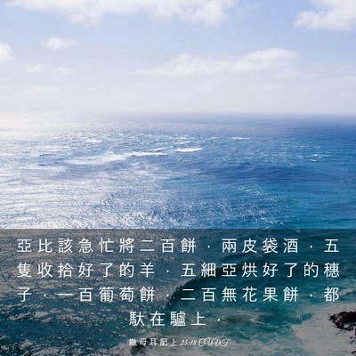 Picture 03 - 撒 母 耳 記 上 25:18 CUVT - 亞 比 該 急 忙 將 二 百 餅 ， 兩 皮 - Bible Verse Picture