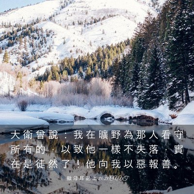 Picture 03 - 撒 母 耳 記 上 25:21 CUVT - 大 衛 曾 說 ： 我 在 曠 野 為 那 人 - Bible Verse Picture