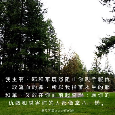 Picture 03 - 撒 母 耳 記 上 25:26 CUVT - 我 主 啊 ， 耶 和 華 既 然 阻 止 你 - Bible Verse Picture