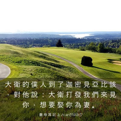Picture 03 - 撒 母 耳 記 上 25:40 CUVT - 大 衛 的 僕 人 到 了 迦 密 見 亞 比 - Bible Verse Picture