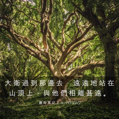 Picture 03 - 撒 母 耳 記 上 26:13 CUVT - 大 衛 過 到 那 邊 去 ， 遠 遠 地 站 - Bible Verse Picture