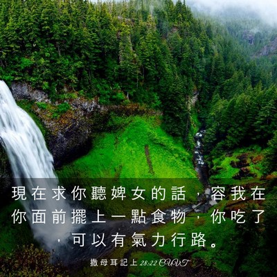 Picture 03 - 撒 母 耳 記 上 28:22 CUVT - 現 在 求 你 聽 婢 女 的 話 ， 容 我 - Bible Verse Picture