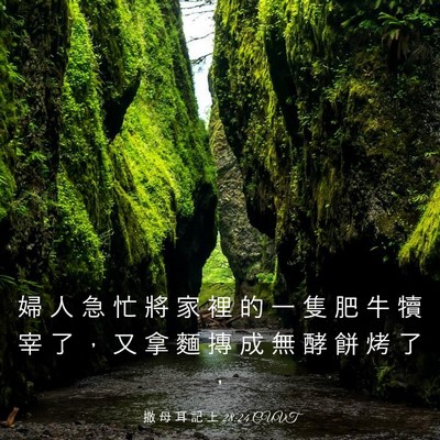 Picture 03 - 撒 母 耳 記 上 28:24 CUVT - 婦 人 急 忙 將 家 裡 的 一 隻 肥 牛 - Bible Verse Picture