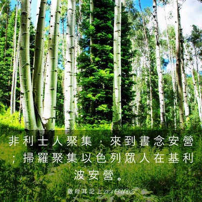 Picture 03 - 撒 母 耳 記 上 28:4 CUVT - 非 利 士 人 聚 集 ， 來 到 書 念 安 - Bible Verse Picture