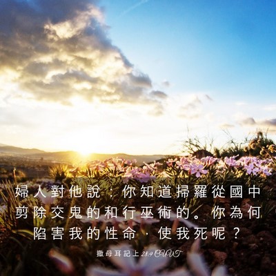 Picture 03 - 撒 母 耳 記 上 28:9 CUVT - 婦 人 對 他 說 ： 你 知 道 掃 羅 從 - Bible Verse Picture