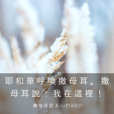 Picture 03 - 撒 母 耳 記 上 3:4 CUVT - 耶 和 華 呼 喚 撒 母 耳 。 撒 母 耳 - Bible Verse Picture