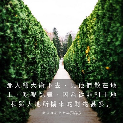 Picture 03 - 撒 母 耳 記 上 30:16 CUVT - 那 人 領 大 衛 下 去 ， 見 他 們 散 - Bible Verse Picture