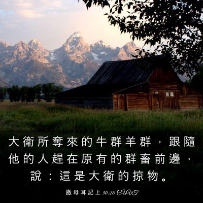Picture 03 - 撒 母 耳 記 上 30:20 CUVT - 大 衛 所 奪 來 的 牛 群 羊 群 ， 跟 - Bible Verse Picture