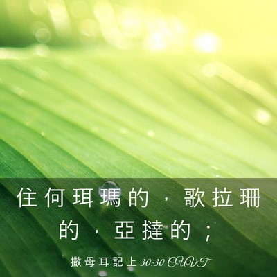 Picture 03 - 撒 母 耳 記 上 30:30 CUVT - 住 何 珥 瑪 的 ， 歌 拉 珊 的 ， 亞 - Bible Verse Picture