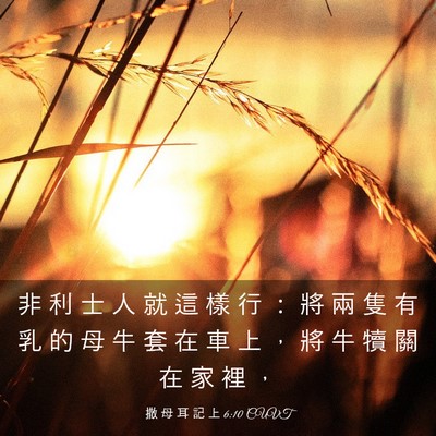 Picture 03 - 撒 母 耳 記 上 6:10 CUVT - 非 利 士 人 就 這 樣 行 ： 將 兩 隻 - Bible Verse Picture