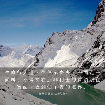 Picture 03 - 撒 母 耳 記 上 6:12 CUVT - 牛 直 行 大 道 ， 往 伯 示 麥 去 ， - Bible Verse Picture