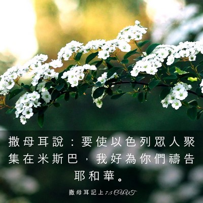 Picture 03 - 撒 母 耳 記 上 7:5 CUVT - 撒 母 耳 說 ： 要 使 以 色 列 眾 人 - Bible Verse Picture