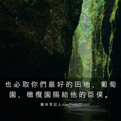 Picture 03 - 撒 母 耳 記 上 8:14 CUVT - 也 必 取 你 們 最 好 的 田 地 、 葡 - Bible Verse Picture