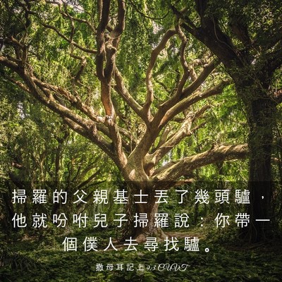 Picture 03 - 撒 母 耳 記 上 9:3 CUVT - 掃 羅 的 父 親 基 士 丟 了 幾 頭 驢 - Bible Verse Picture