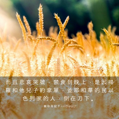 Picture 03 - 撒 母 耳 記 下 1:12 CUVT - 而 且 悲 哀 哭 號 ， 禁 食 到 晚 上 - Bible Verse Picture