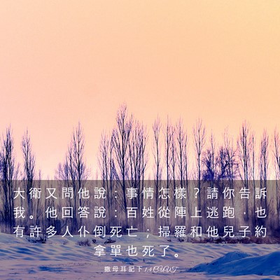 Picture 03 - 撒 母 耳 記 下 1:4 CUVT - 大 衛 又 問 他 說 ： 事 情 怎 樣 ？ - Bible Verse Picture