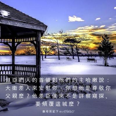 Picture 03 - 撒 母 耳 記 下 10:3 CUVT - 但 亞 捫 人 的 首 領 對 他 們 的 主 - Bible Verse Picture