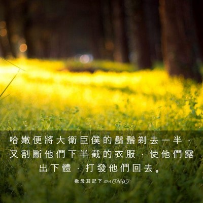 Picture 03 - 撒 母 耳 記 下 10:4 CUVT - 哈 嫩 便 將 大 衛 臣 僕 的 鬍 鬚 剃 - Bible Verse Picture