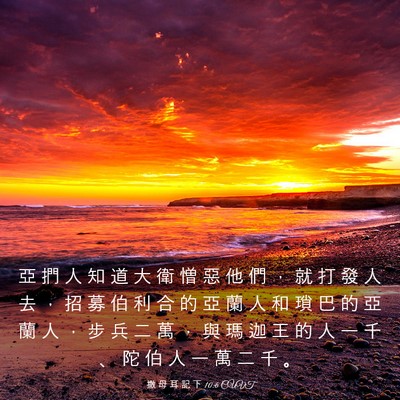 Picture 03 - 撒 母 耳 記 下 10:6 CUVT - 亞 捫 人 知 道 大 衛 憎 惡 他 們 ， - Bible Verse Picture