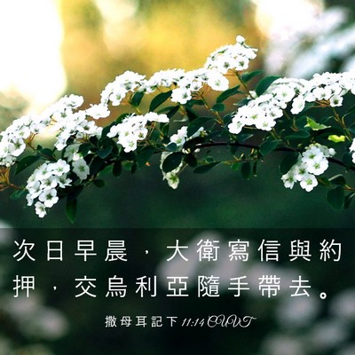 Picture 03 - 撒 母 耳 記 下 11:14 CUVT - 次 日 早 晨 ， 大 衛 寫 信 與 約 押 - Bible Verse Picture