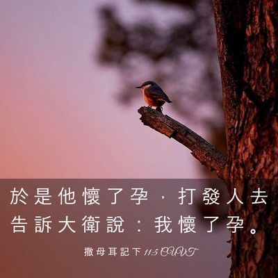 Picture 03 - 撒 母 耳 記 下 11:5 CUVT - 於 是 他 懷 了 孕 ， 打 發 人 去 告 - Bible Verse Picture