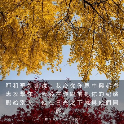 Picture 03 - 撒 母 耳 記 下 12:11 CUVT - 耶 和 華 如 此 說 ： 我 必 從 你 家 - Bible Verse Picture