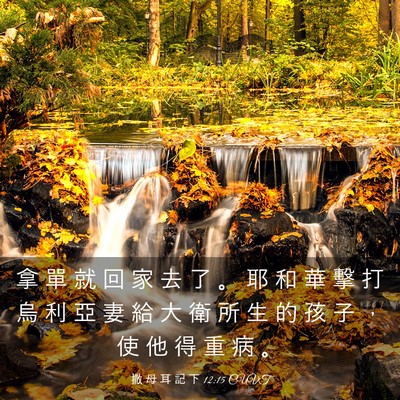 Picture 03 - 撒 母 耳 記 下 12:15 CUVT - 拿 單 就 回 家 去 了 。 耶 和 華 擊 - Bible Verse Picture