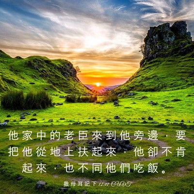 Picture 03 - 撒 母 耳 記 下 12:17 CUVT - 他 家 中 的 老 臣 來 到 他 旁 邊 ， - Bible Verse Picture