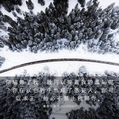 Picture 03 - 撒 母 耳 記 下 13:13 CUVT - 你 玷 辱 了 我 ， 我 何 以 掩 蓋 我 - Bible Verse Picture