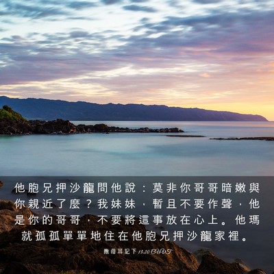 Picture 03 - 撒 母 耳 記 下 13:20 CUVT - 他 胞 兄 押 沙 龍 問 他 說 ： 莫 非 - Bible Verse Picture
