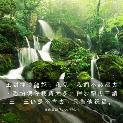 Picture 03 - 撒 母 耳 記 下 13:25 CUVT - 王 對 押 沙 龍 說 ： 我 兒 ， 我 們 - Bible Verse Picture