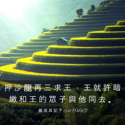 Picture 03 - 撒 母 耳 記 下 13:27 CUVT - 押 沙 龍 再 三 求 王 ， 王 就 許 暗 - Bible Verse Picture