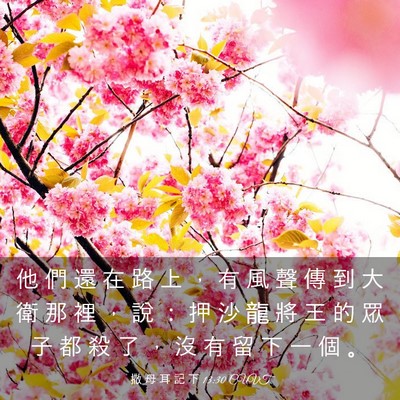 Picture 03 - 撒 母 耳 記 下 13:30 CUVT - 他 們 還 在 路 上 ， 有 風 聲 傳 到 - Bible Verse Picture