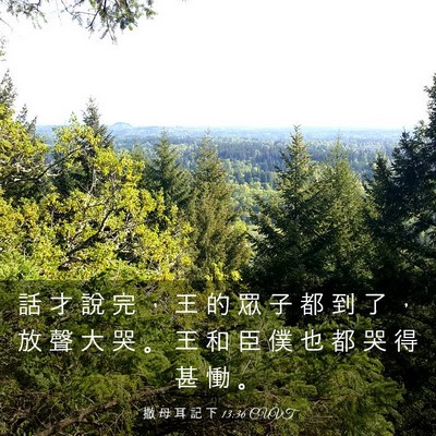 Picture 03 - 撒 母 耳 記 下 13:36 CUVT - 話 才 說 完 ， 王 的 眾 子 都 到 了 - Bible Verse Picture