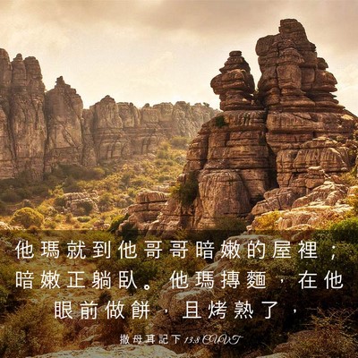Picture 03 - 撒 母 耳 記 下 13:8 CUVT - 他 瑪 就 到 他 哥 哥 暗 嫩 的 屋 裡 - Bible Verse Picture