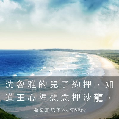 Picture 03 - 撒 母 耳 記 下 14:1 CUVT - 洗 魯 雅 的 兒 子 約 押 ， 知 道 王 - Bible Verse Picture