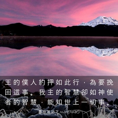 Picture 03 - 撒 母 耳 記 下 14:20 CUVT - 王 的 僕 人 約 押 如 此 行 ， 為 要 - Bible Verse Picture