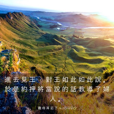 Picture 03 - 撒 母 耳 記 下 14:3 CUVT - 進 去 見 王 ， 對 王 如 此 如 此 說 - Bible Verse Picture