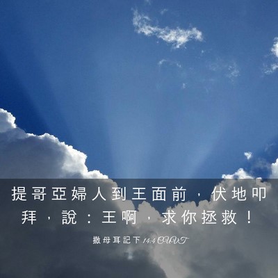 Picture 03 - 撒 母 耳 記 下 14:4 CUVT - 提 哥 亞 婦 人 到 王 面 前 ， 伏 地 - Bible Verse Picture