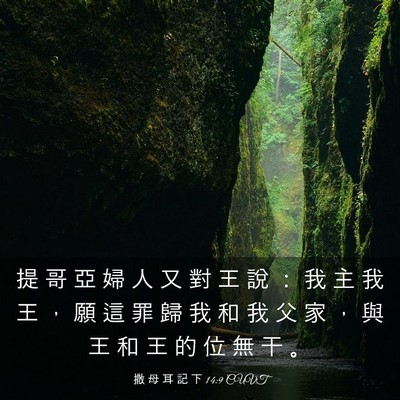 Picture 03 - 撒 母 耳 記 下 14:9 CUVT - 提 哥 亞 婦 人 又 對 王 說 ： 我 主 - Bible Verse Picture