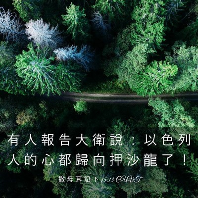 Picture 03 - 撒 母 耳 記 下 15:13 CUVT - 有 人 報 告 大 衛 說 ： 以 色 列 人 - Bible Verse Picture