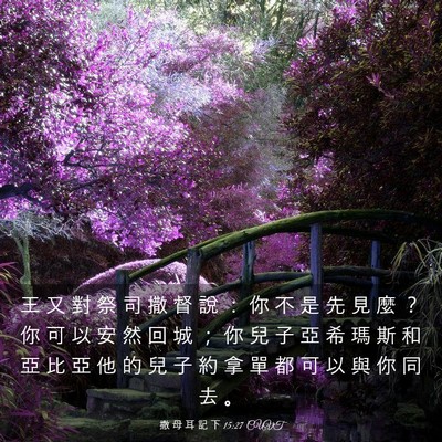 Picture 03 - 撒 母 耳 記 下 15:27 CUVT - 王 又 對 祭 司 撒 督 說 ： 你 不 是 - Bible Verse Picture