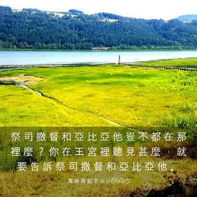 Picture 03 - 撒 母 耳 記 下 15:35 CUVT - 祭 司 撒 督 和 亞 比 亞 他 豈 不 都 - Bible Verse Picture
